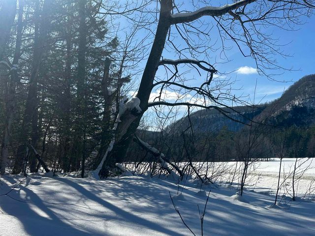 9 Dry Pond Road, Glover, VT 05839