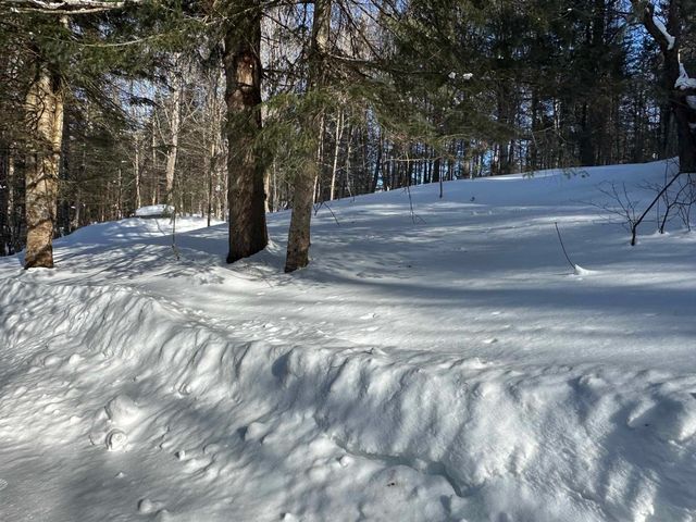 9 Dry Pond Road, Glover, VT 05839