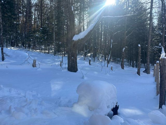 9 Dry Pond Road, Glover, VT 05839