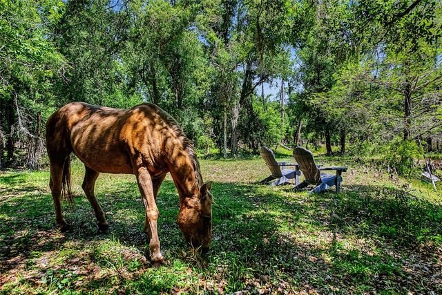15750 WILSON ROAD, Sarasota, FL 34240