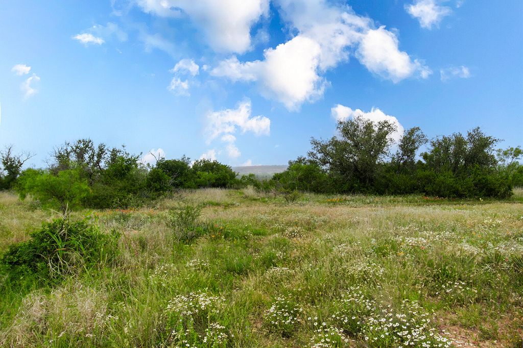 Image 13 of property listing at 9701 County Road 201, Brownwood, TX 76801