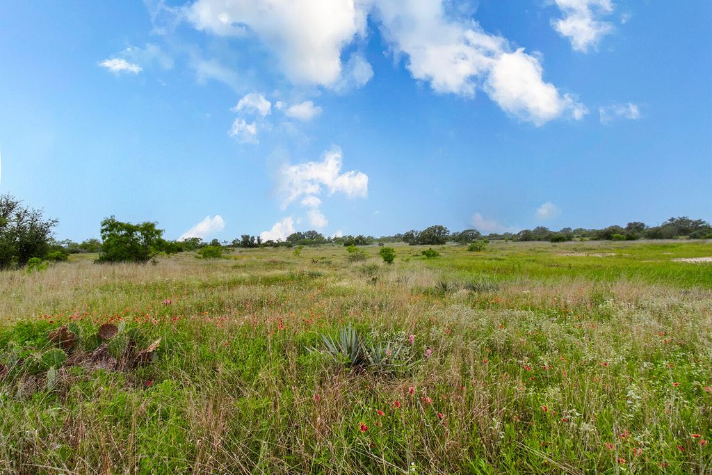 Image 14 of property listing at 9701 County Road 201, Brownwood, TX 76801