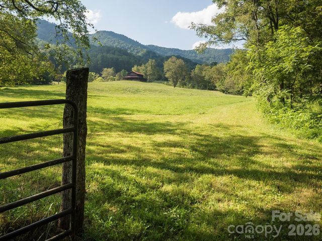 741 & 99999 Morrow Branch Road, Leicester, NC 28748
