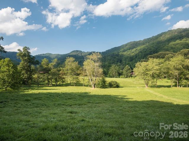 741 & 99999 Morrow Branch Road, Leicester, NC 28748