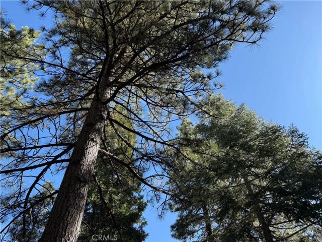 27334 Pinewood Drive, Lake Arrowhead, CA 92352