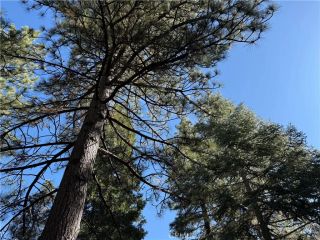 27334 Pinewood Drive, Lake Arrowhead, CA 92352