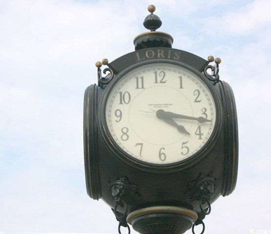 153 River Birch Dr., Loris, SC 29569