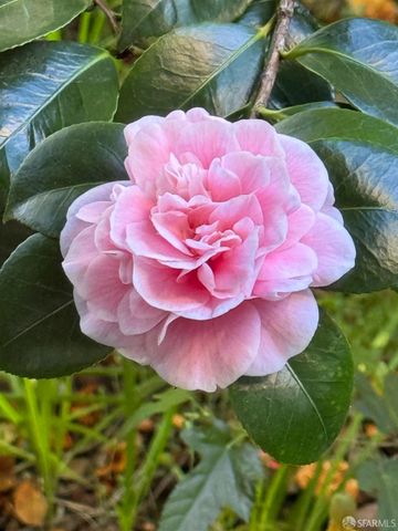 286 Crescent Avenue, San Francisco, CA 94110