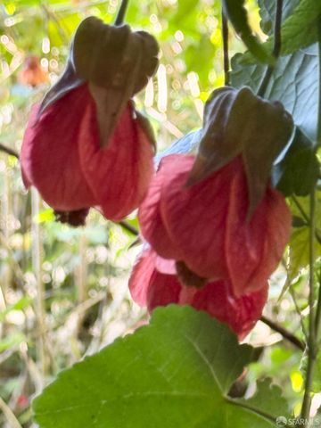 286 Crescent Avenue, San Francisco, CA 94110