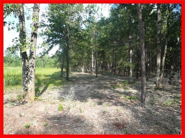 00 Magnolia Circle, Magnolia, TX 77354
