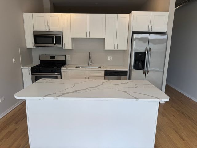 3505 S Morgan Street 320, Chicago, IL 60609