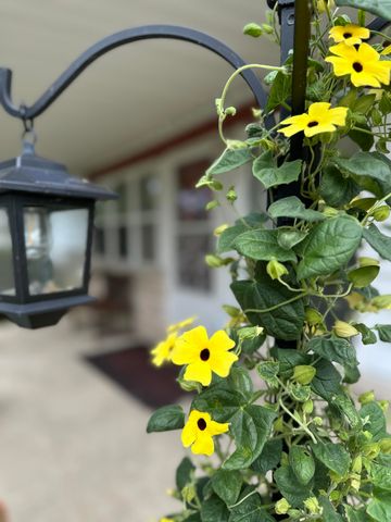 158 Fortenberry Road, Russell Springs, KY 42642