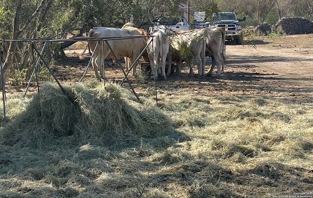 000 FM 1346, St Hedwig, TX 78152