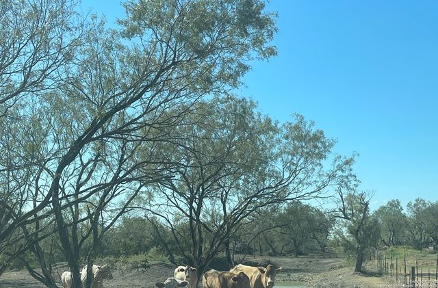 000 FM 1346, St Hedwig, TX 78152