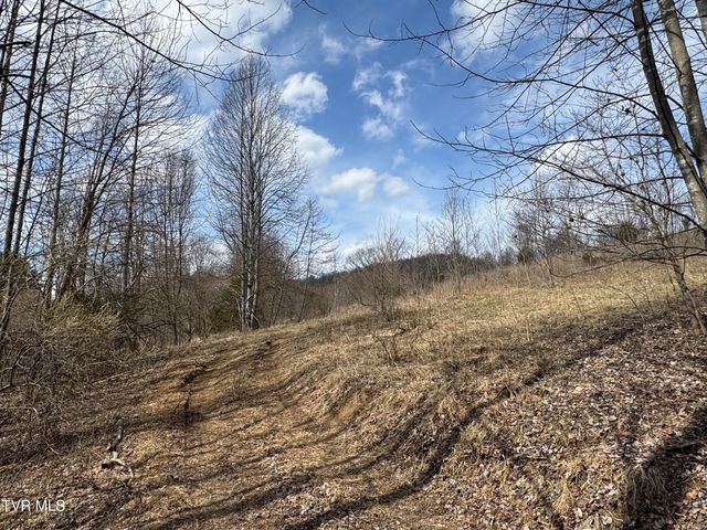 6996 Manville Road, Gate City, VA 24251