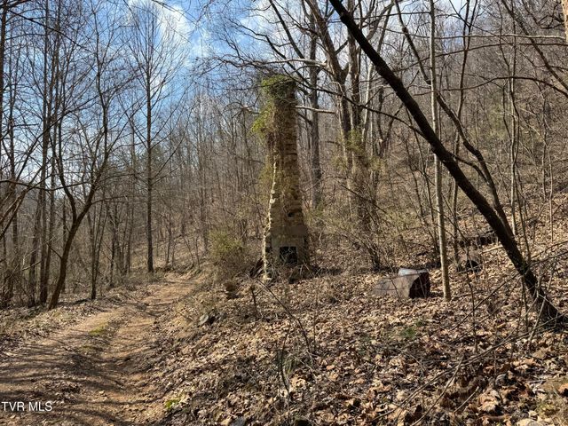 6996 Manville Road, Gate City, VA 24251