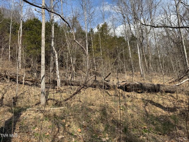 6996 Manville Road, Gate City, VA 24251