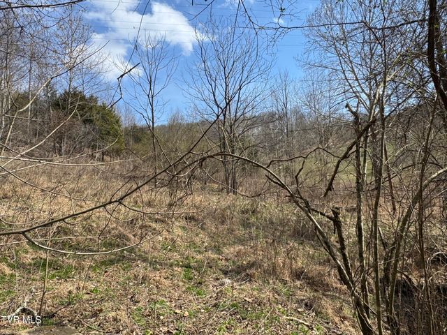 6996 Manville Road, Gate City, VA 24251