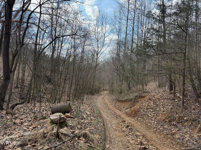 6996 Manville Road, Gate City, VA 24251