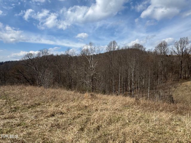 6996 Manville Road, Gate City, VA 24251