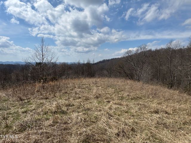 6996 Manville Road, Gate City, VA 24251