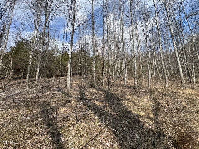 6996 Manville Road, Gate City, VA 24251