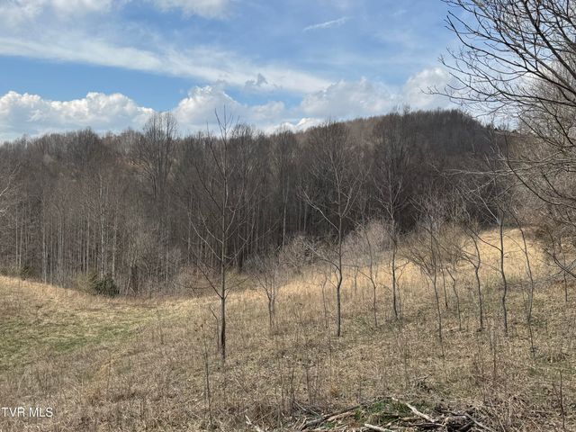 6996 Manville Road, Gate City, VA 24251