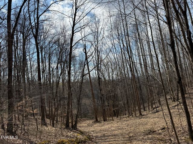 6996 Manville Road, Gate City, VA 24251