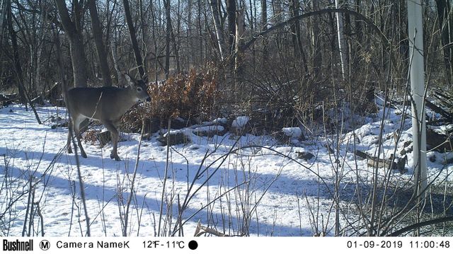 4318 153rd Avenue NE, Ham Lake, MN 55304