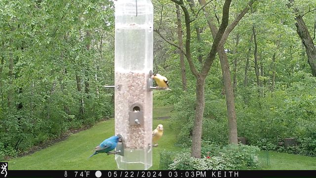 4318 153rd Avenue NE, Ham Lake, MN 55304