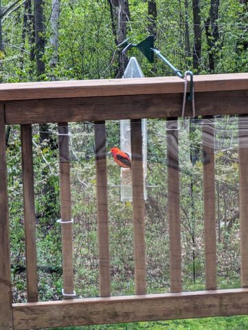 4318 153rd Avenue NE, Ham Lake, MN 55304