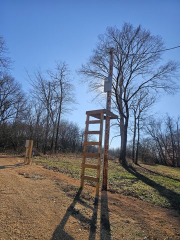 258 Drake Dr, Clifton, TN 38425