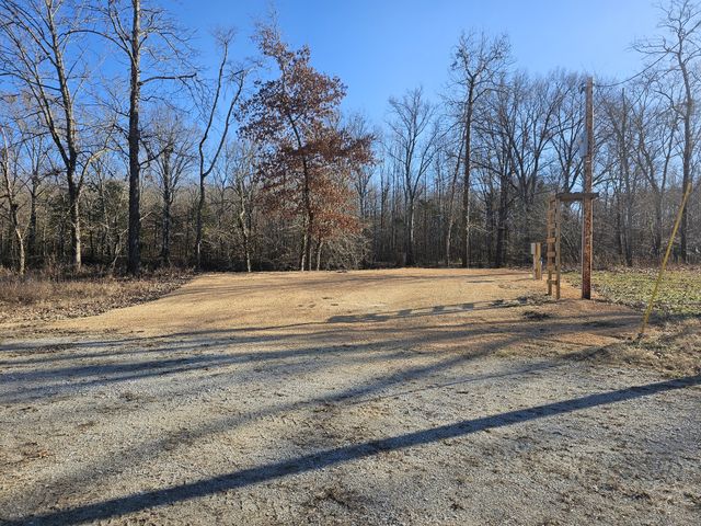 258 Drake Dr, Clifton, TN 38425