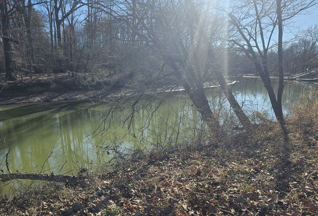 258 Drake Dr, Clifton, TN 38425