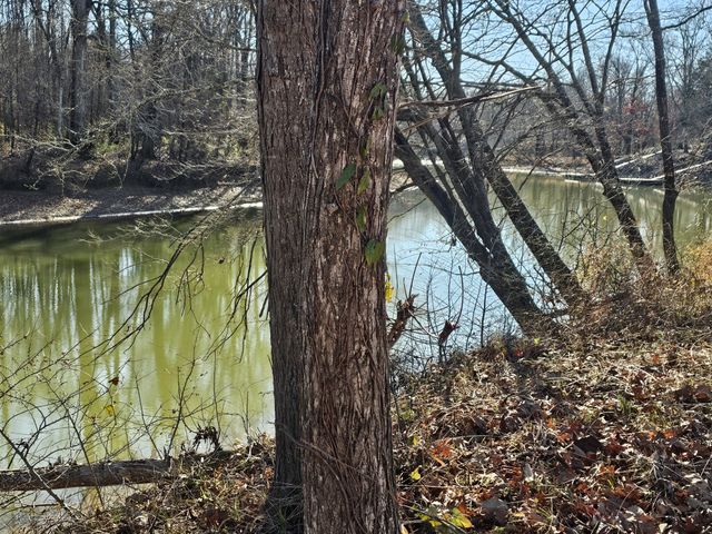 258 Drake Dr, Clifton, TN 38425