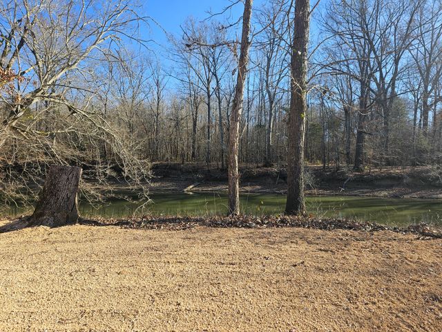 258 Drake Dr, Clifton, TN 38425