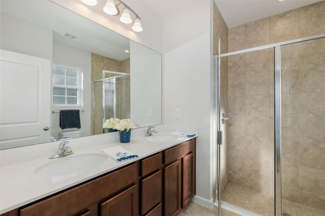 17911 TURNING LEAF CIRCLE, Land O Lakes, FL 34638