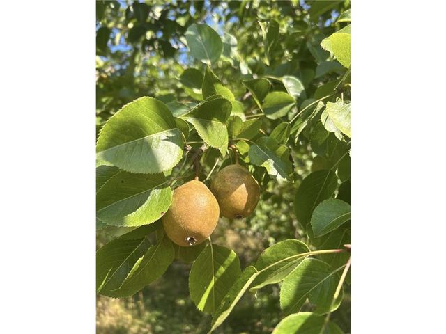 3341 130th Street, Frederic, WI 54837