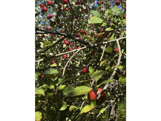 3341 130th Street, Frederic, WI 54837