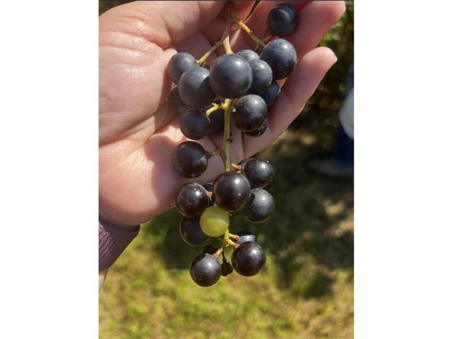 3341 130th Street, Frederic, WI 54837