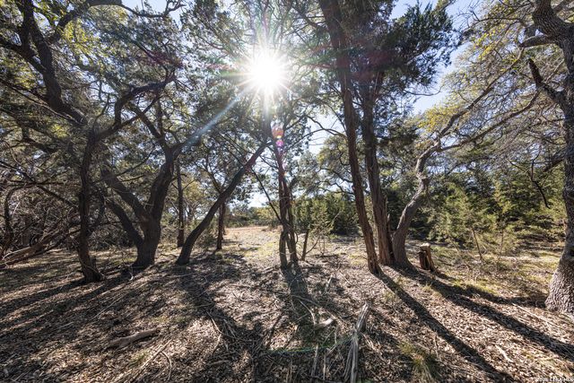 723 Vista Springs Dr, Spring Branch, TX 78070