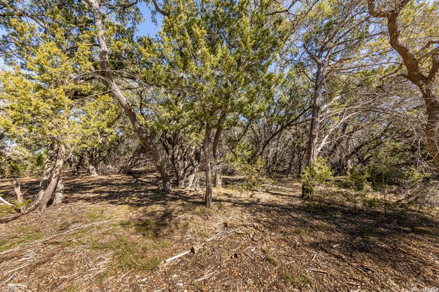 723 Vista Springs Dr, Spring Branch, TX 78070