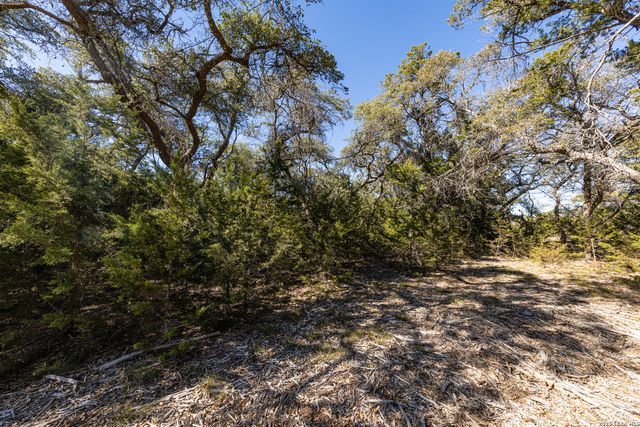 723 Vista Springs Dr, Spring Branch, TX 78070