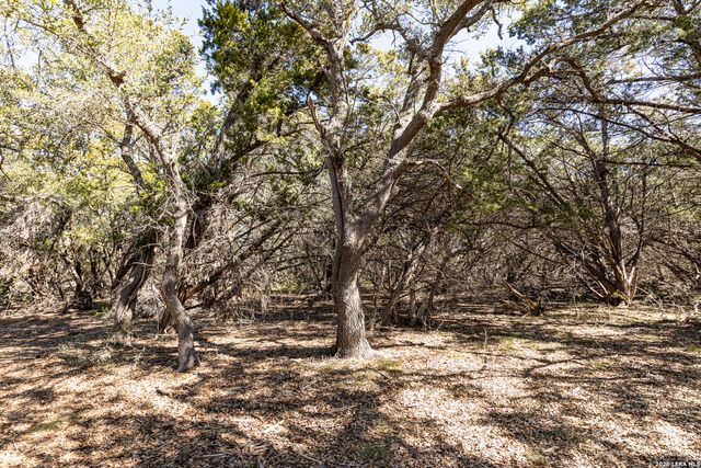 723 Vista Springs Dr, Spring Branch, TX 78070