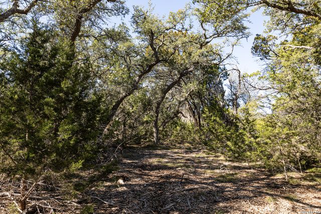 723 Vista Springs Dr, Spring Branch, TX 78070