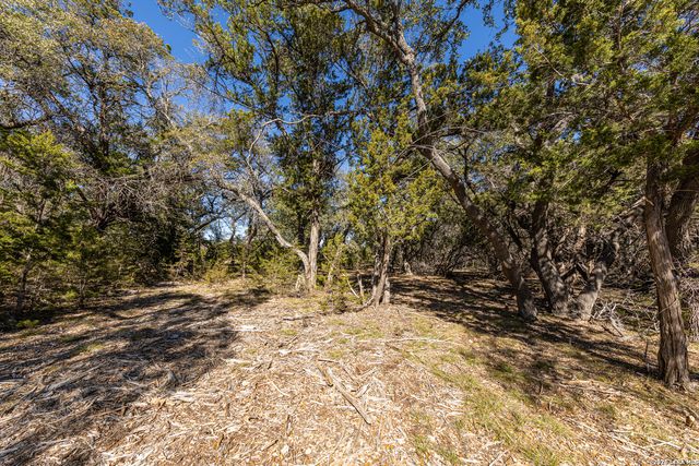 723 Vista Springs Dr, Spring Branch, TX 78070