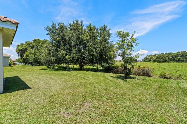 1330 BUCKTAIL COURT, Kissimmee, FL 34746