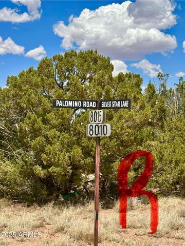 52 ACR 8010 --, Concho, AZ 85924