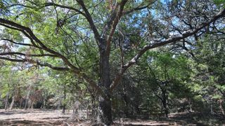 TBD FM 1806 Street, Montague, TX 76251