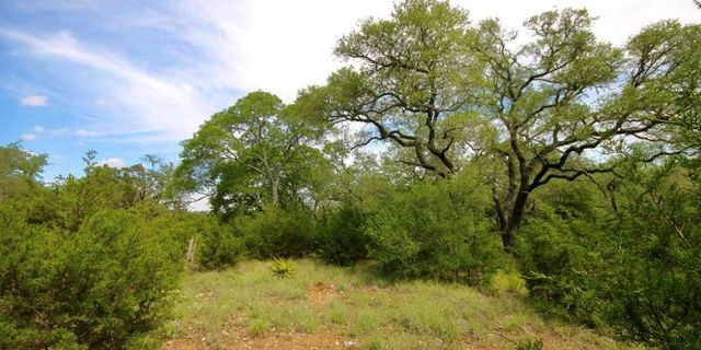 179 Shawnee TRL, Dripping Springs, TX 78620